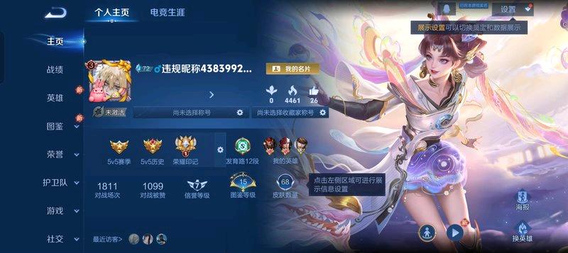 WZYXZH4301657王者荣耀账号详情图2